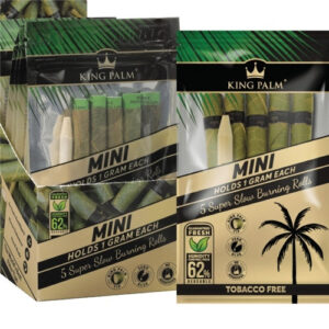 KING PALM - 5 MINI