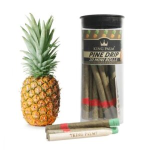 King Palm - Pine Drip 20 pc